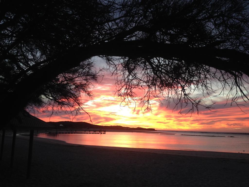 Nautilus Retreat Kalbarri B&B Luaran gambar